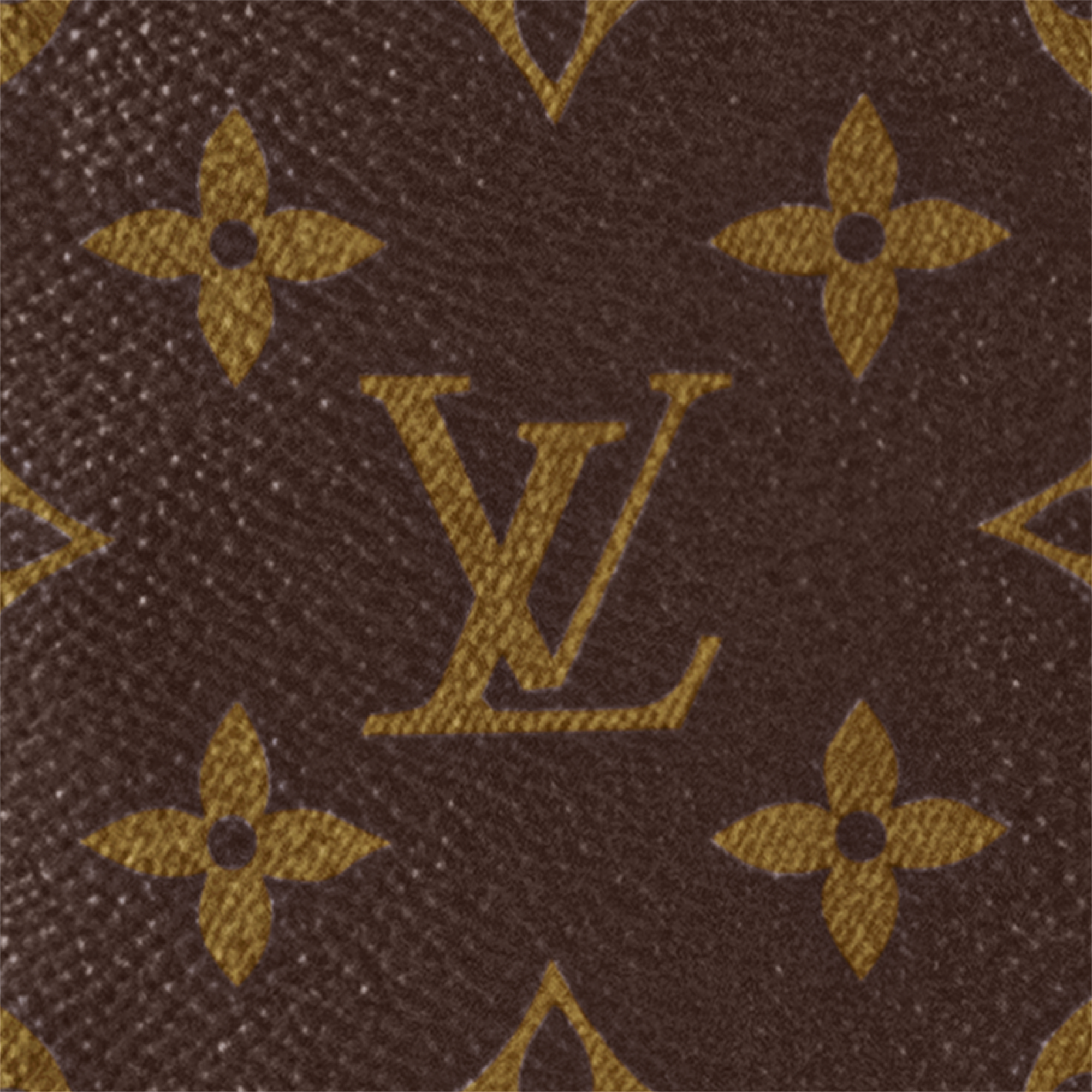 Christopher MM - Monogram Macassar Canvas