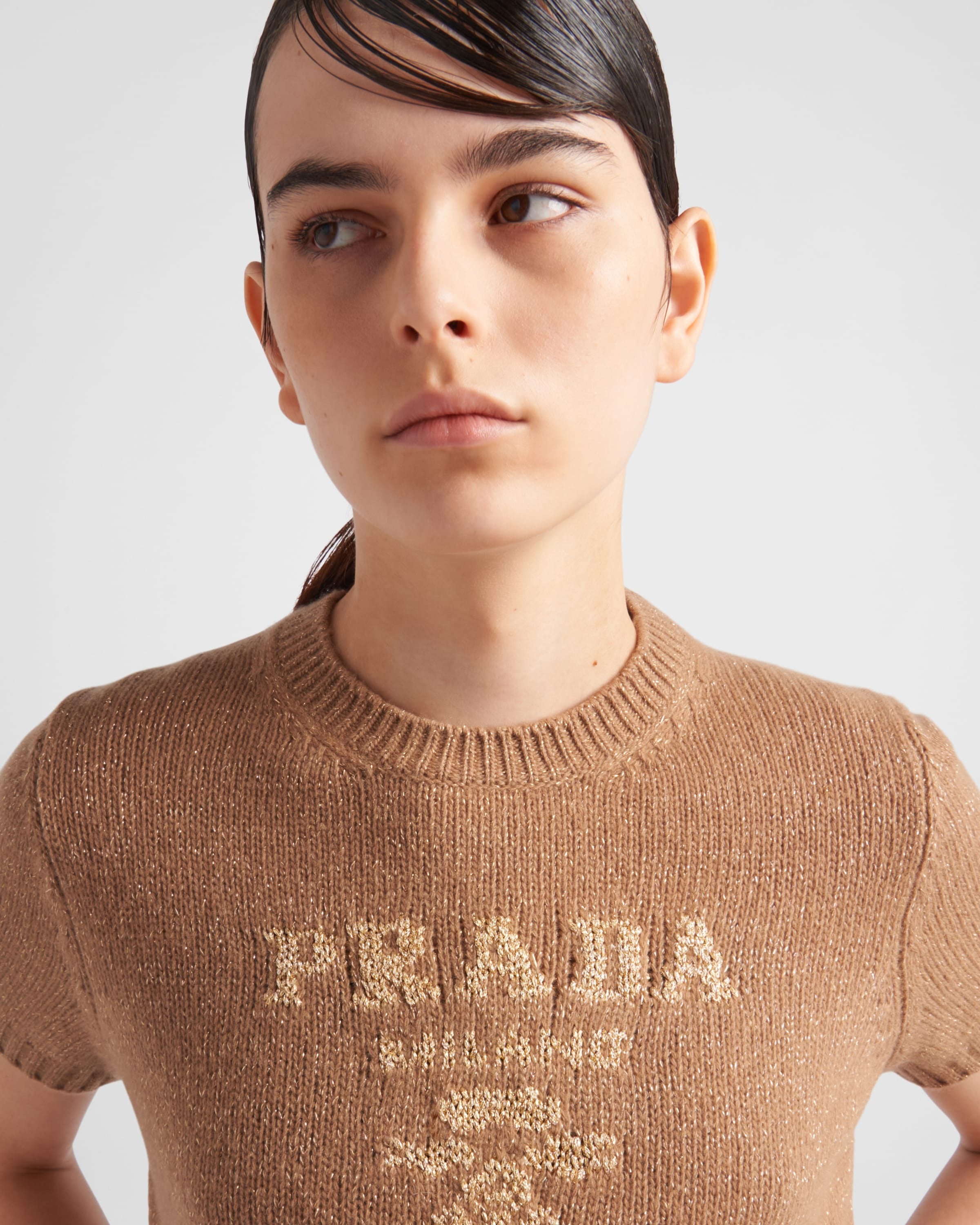 Wool, cashmere and lamé crew-neck sweater Camel/Gold
