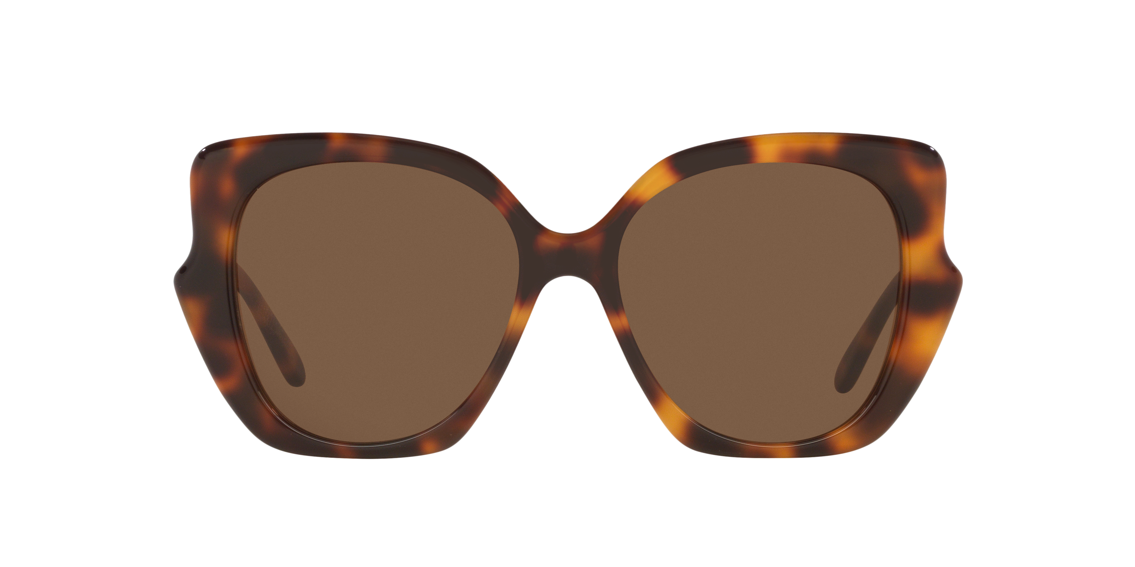 LOEWE Thin LW40133I Tortoise - Women Sunglasses, Brown Lens