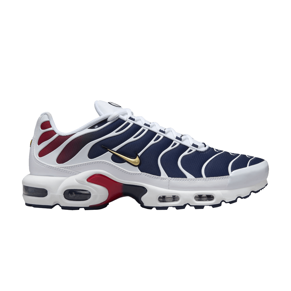 Nike Air Max Plus PSG