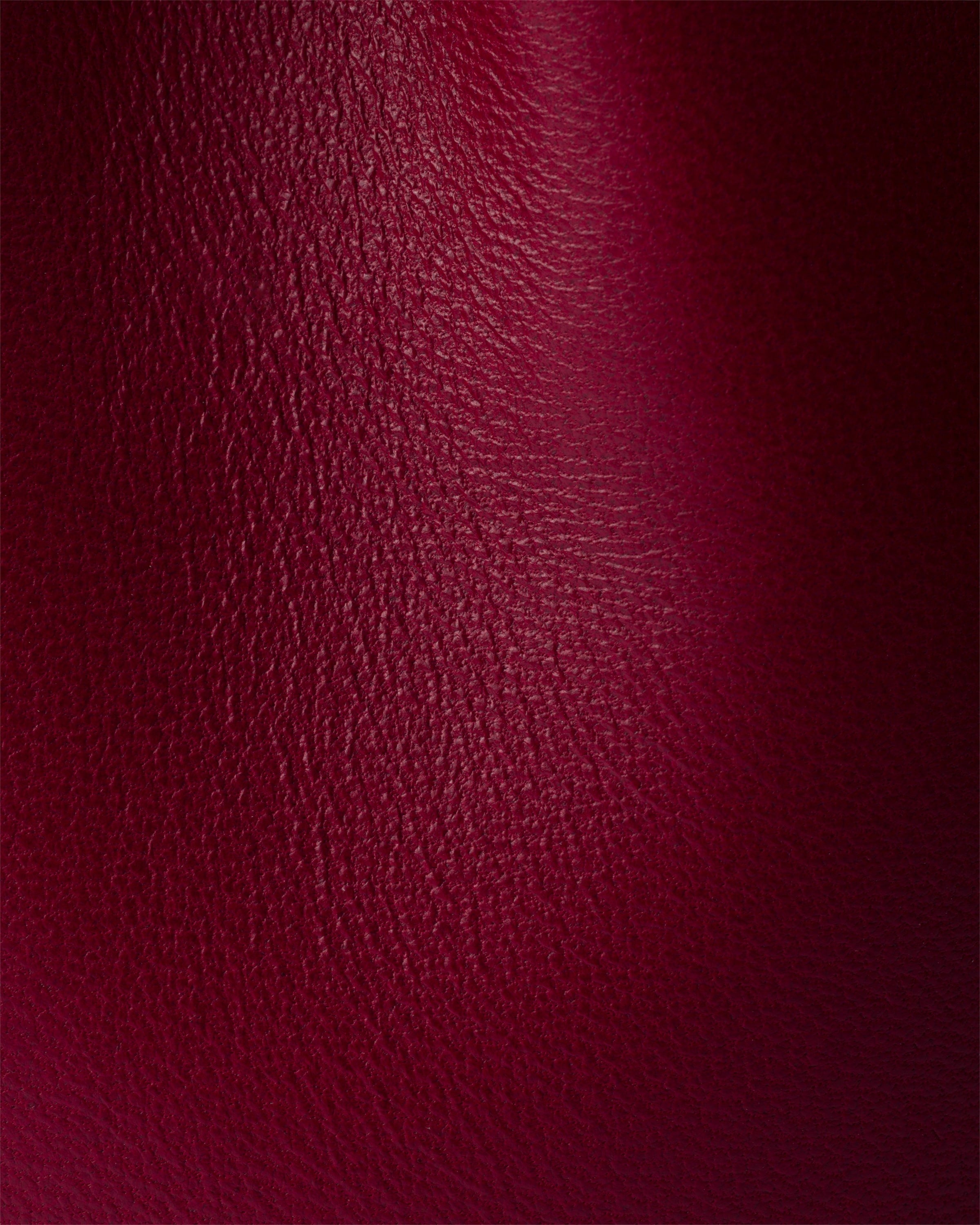 Petit Sac Noir nappa leather mini-bucket bag Cherry
