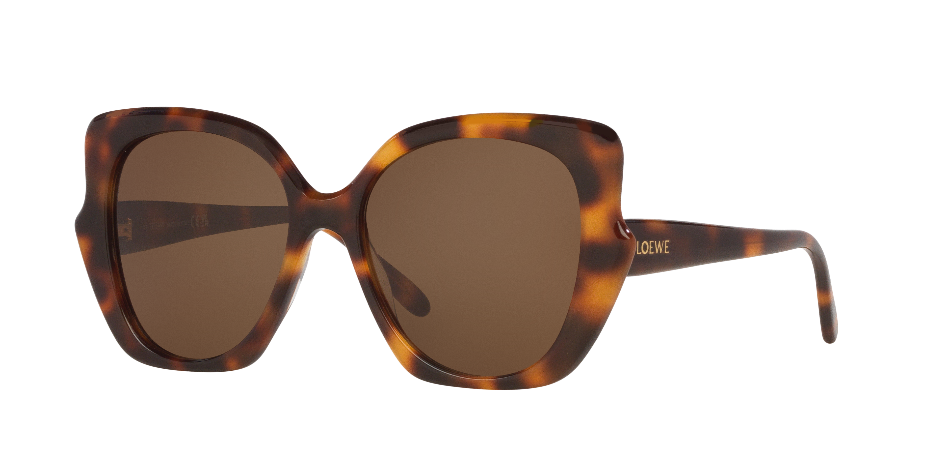 LOEWE Thin LW40133I Tortoise - Women Sunglasses, Brown Lens