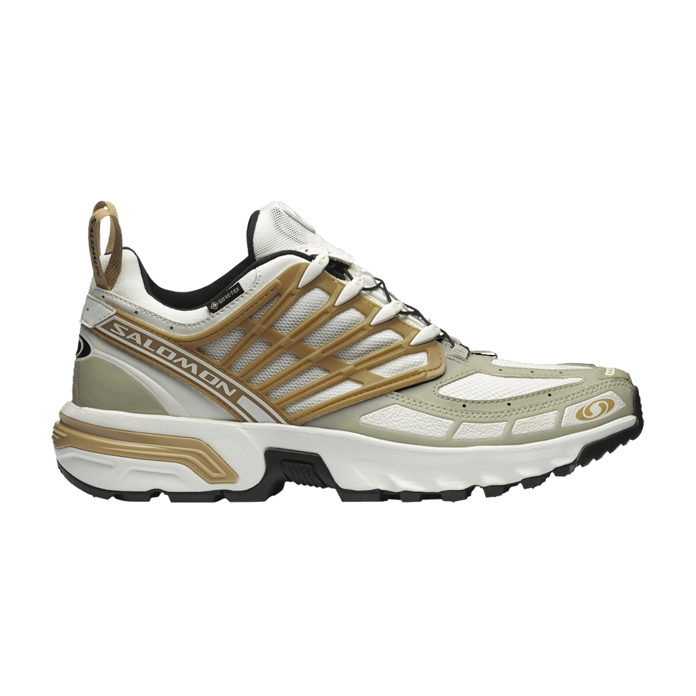 ACS Pro GORE-TEX 'Icicle Antelope'