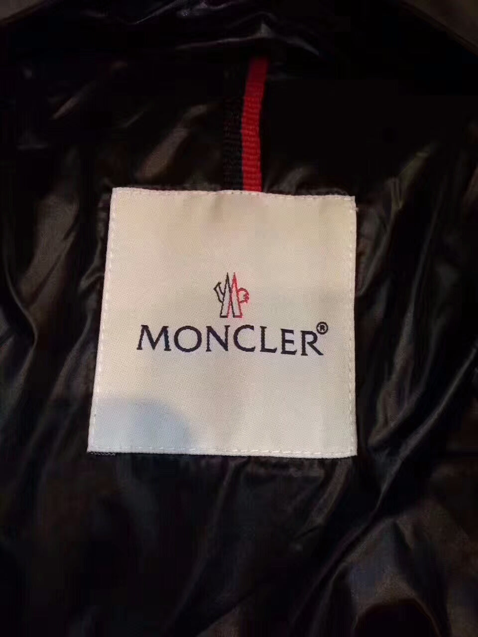 Moncler Fulmarus Fox