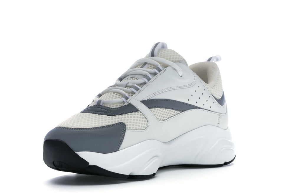 Dior B22 White Silver