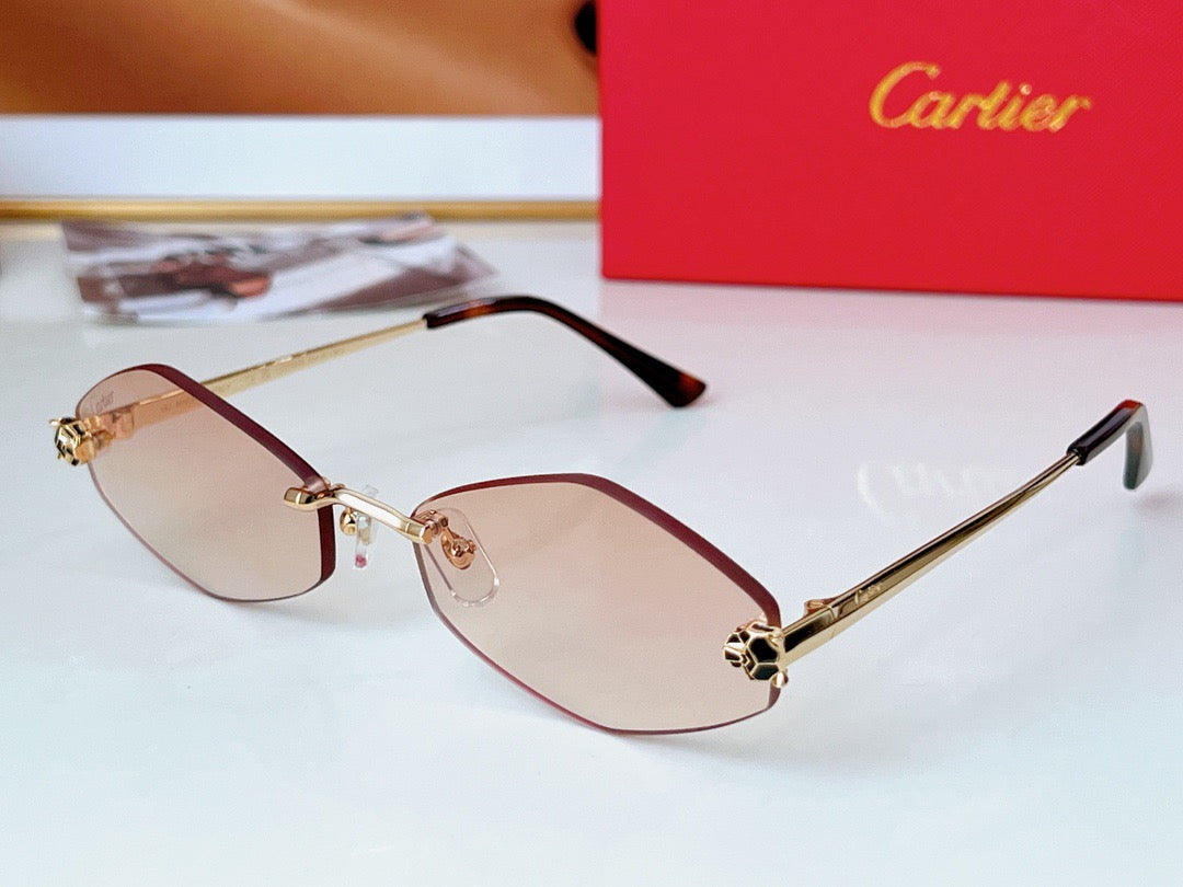 Cartier CT0433S