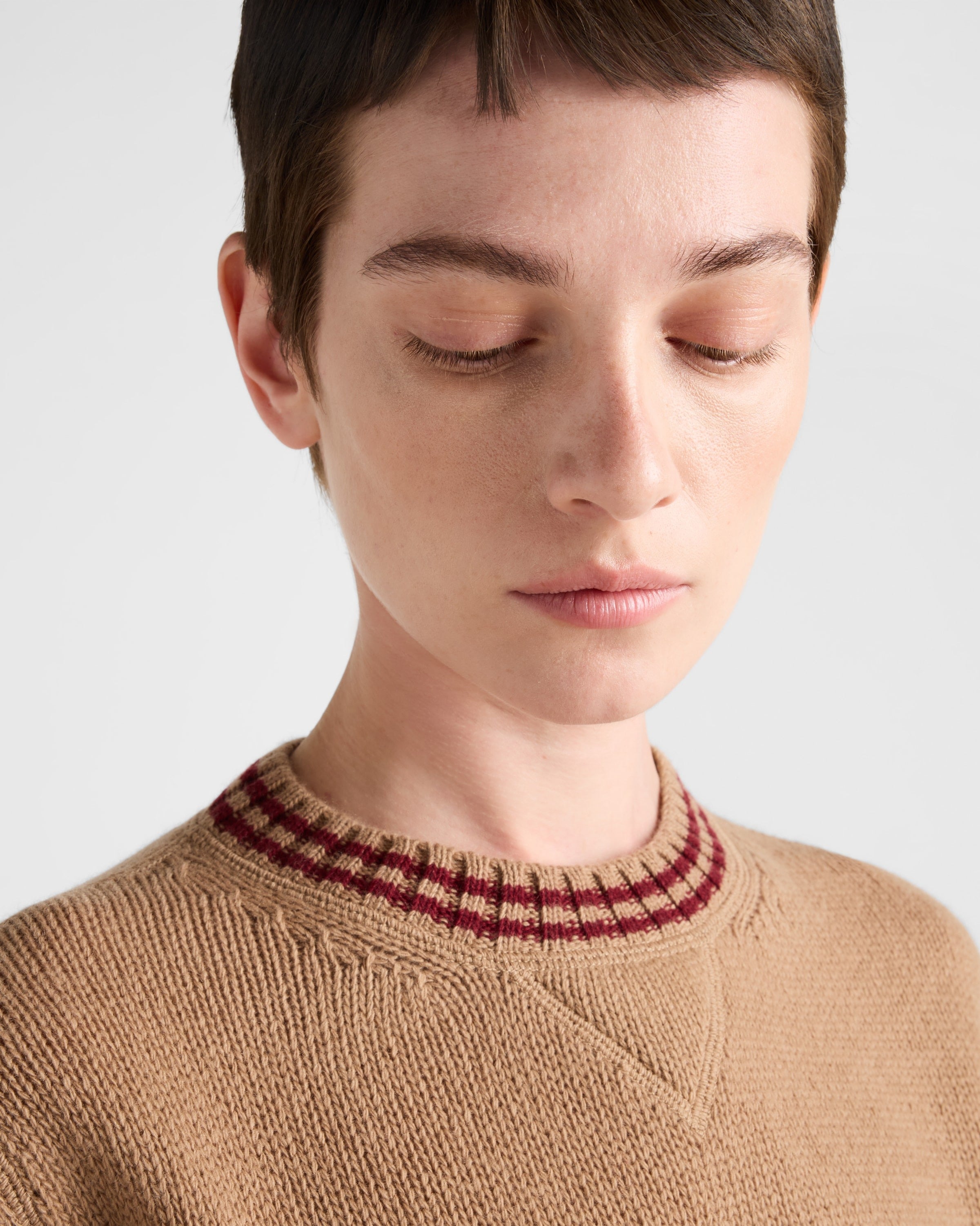 Wool and cashmere crew-neck sweater Camel/Amaranth