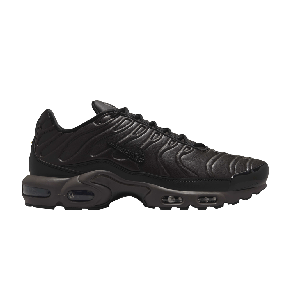 Air Max Plus Premium 'Paris'