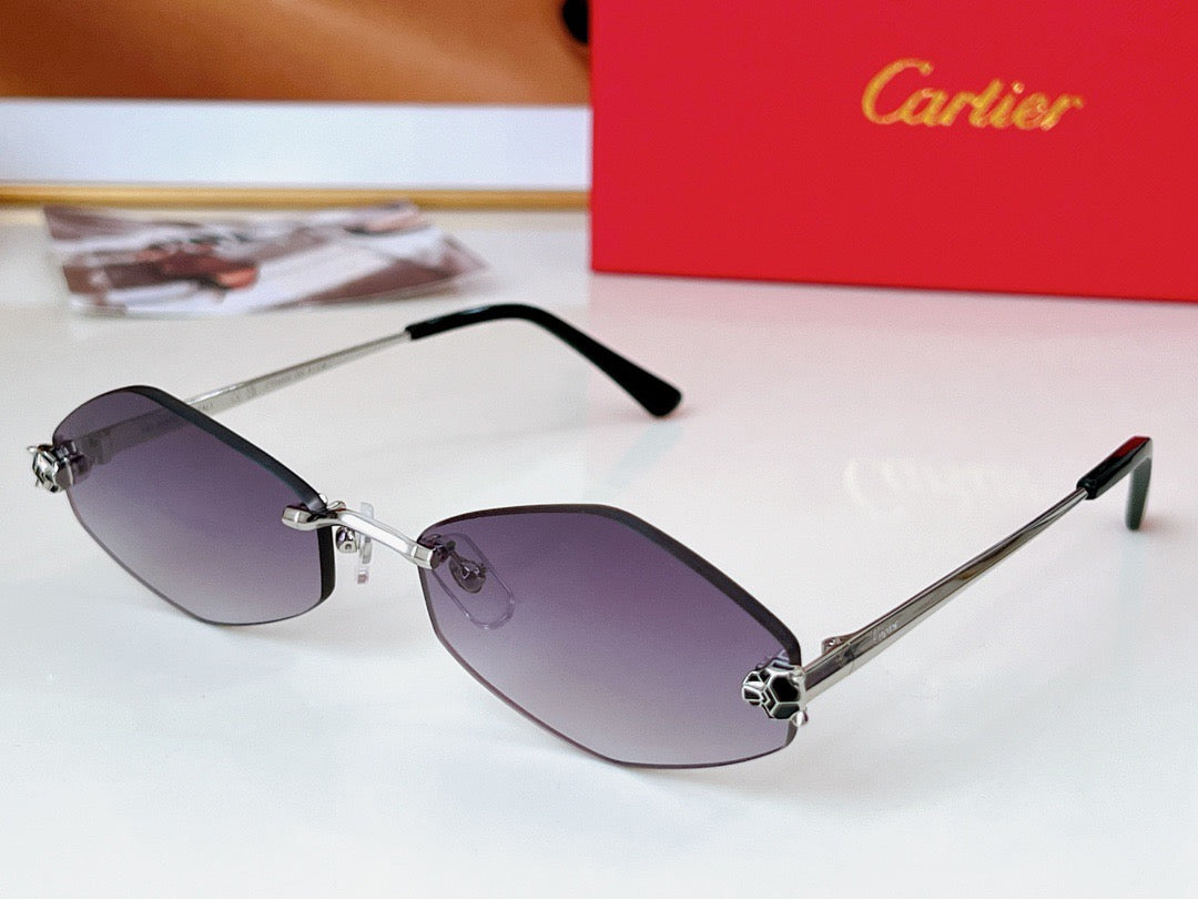 Cartier CT0433S