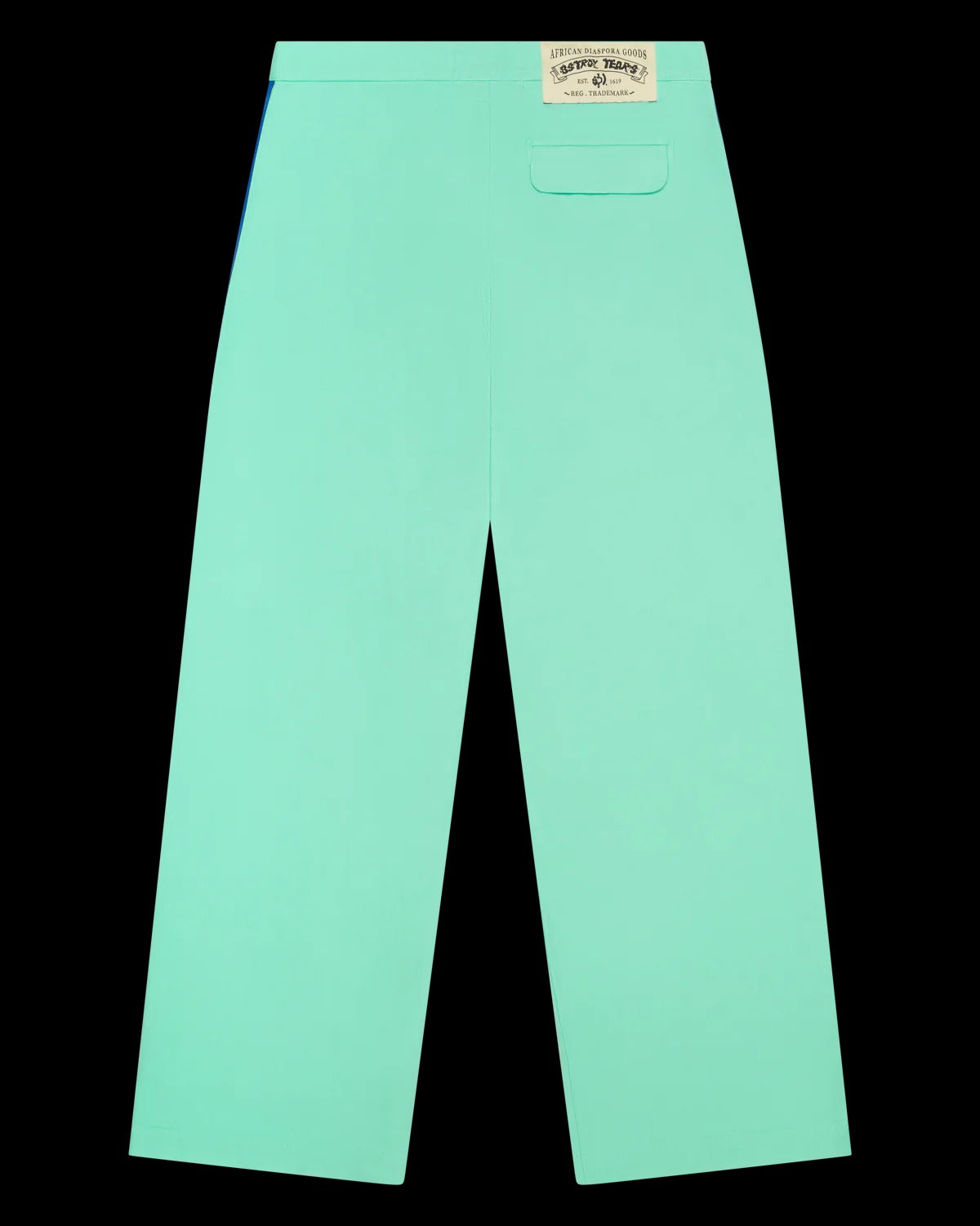 Bstroy Tears Side Stripe Pant Mint