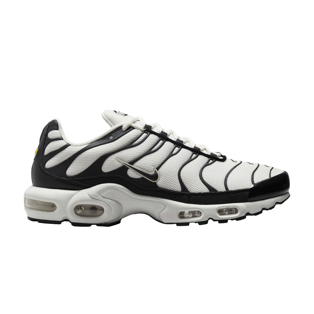 Nike Air Max Plus Panda