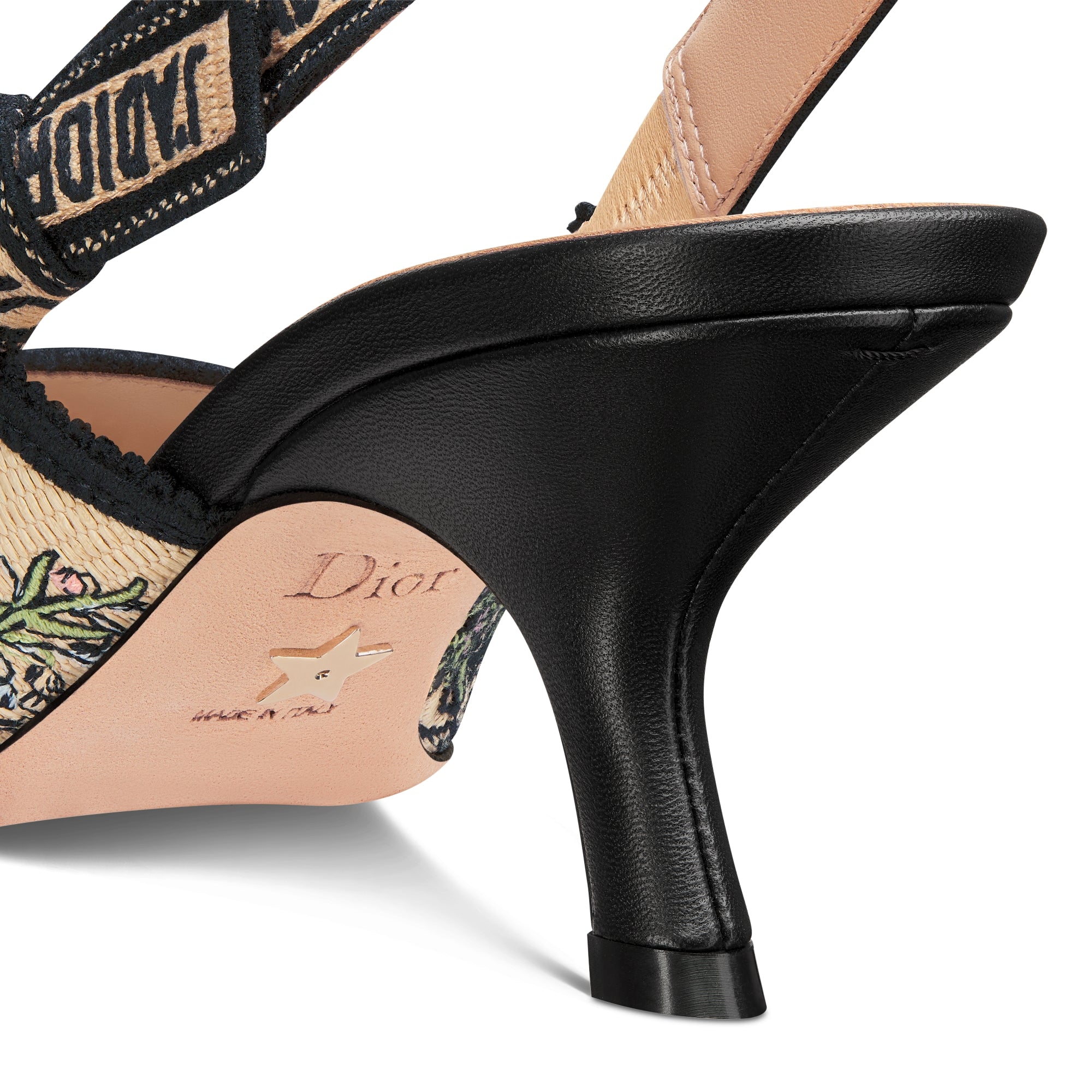 J'Adior Slingback Pump - Natural Raffia Embroidered with Multicolor Dior Cabinet de Curiosités Motif