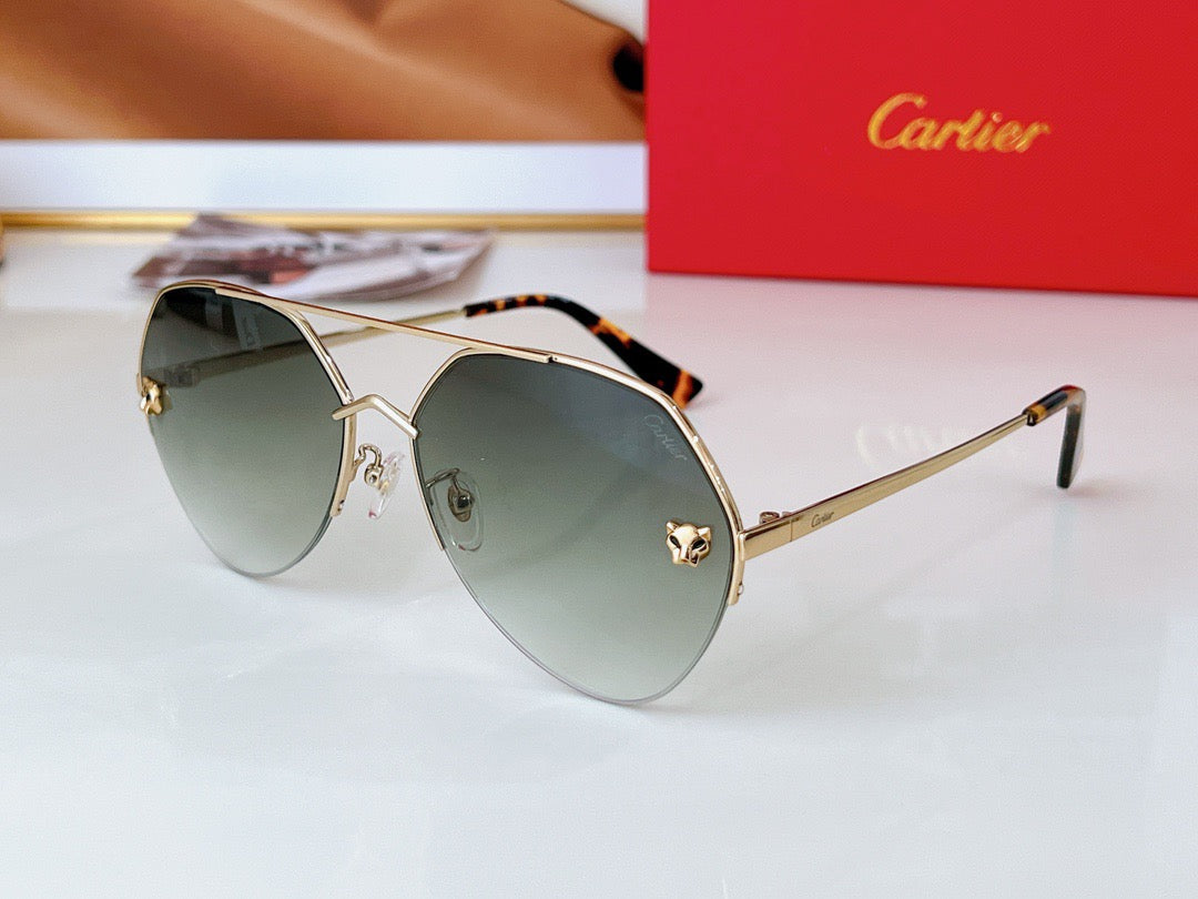 Cartier CT0355S