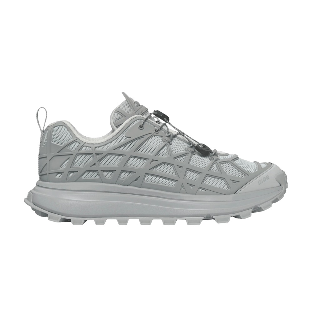 Dior B31 Runner 'Grey'