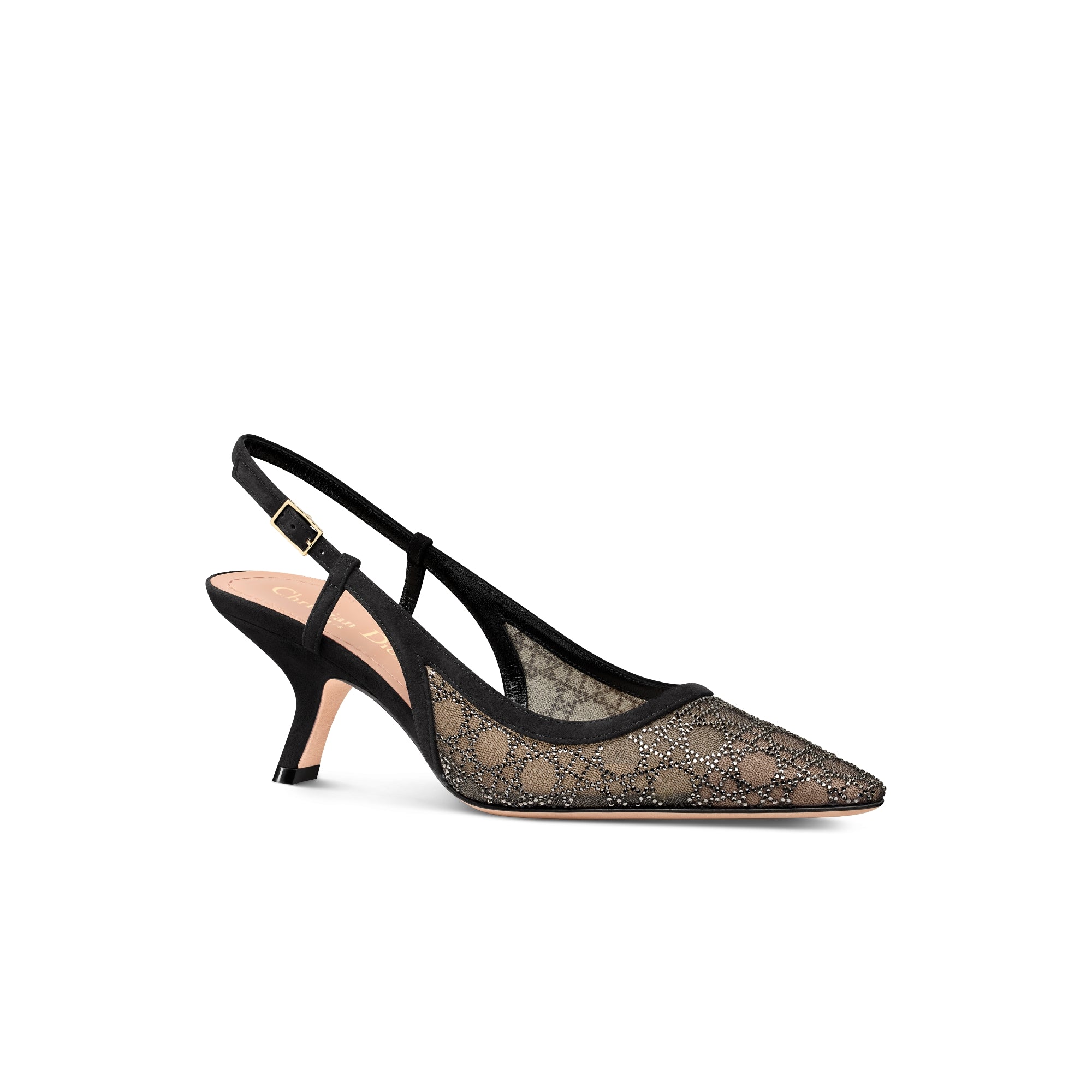 Dior Capture Slingback Pump - Transparent Mesh with Silver-Tone Strass Cannage Motif and Black Suede Goatskin