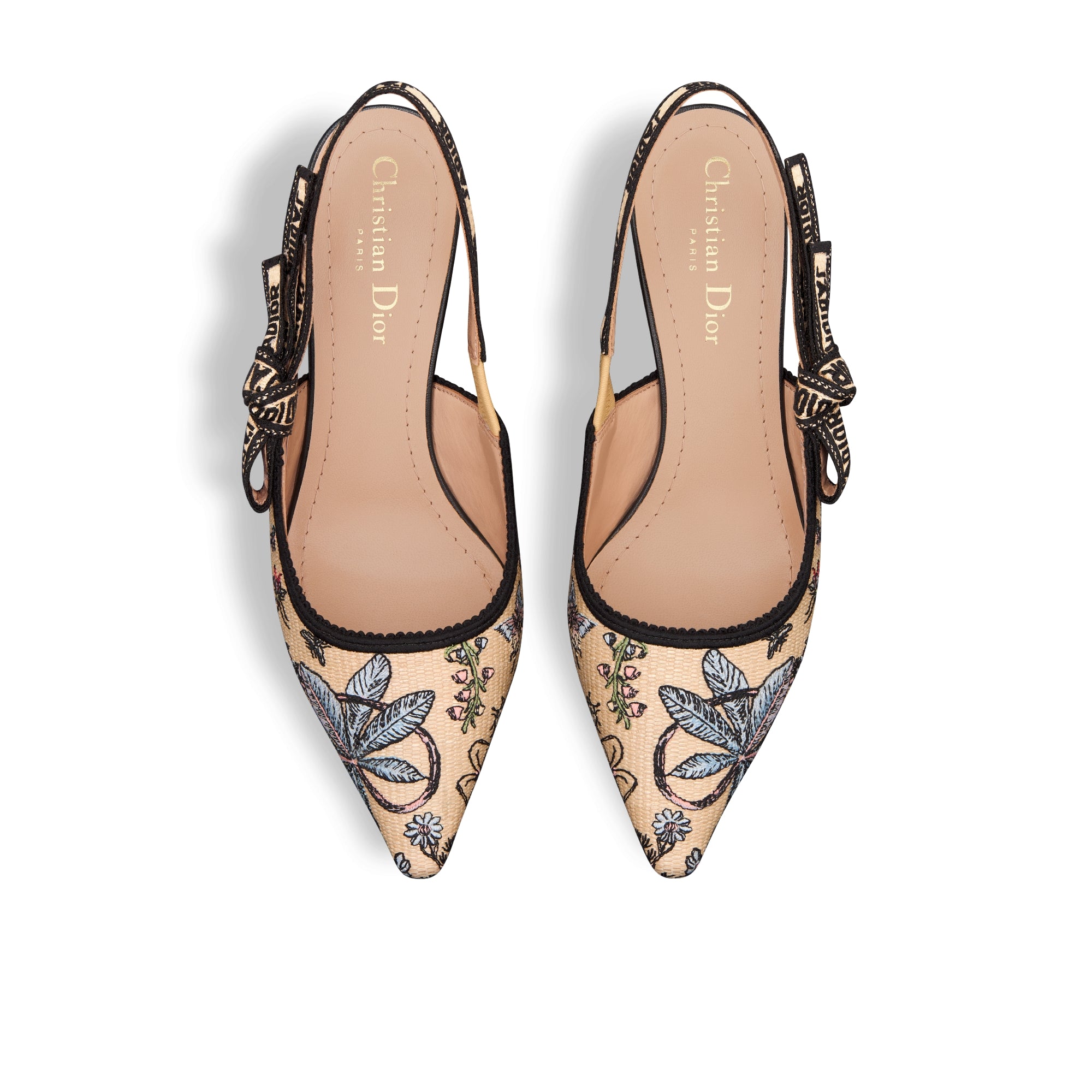 J'Adior Slingback Pump - Natural Raffia Embroidered with Multicolor Dior Cabinet de Curiosités Motif