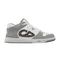 Dior Oblique - Grey