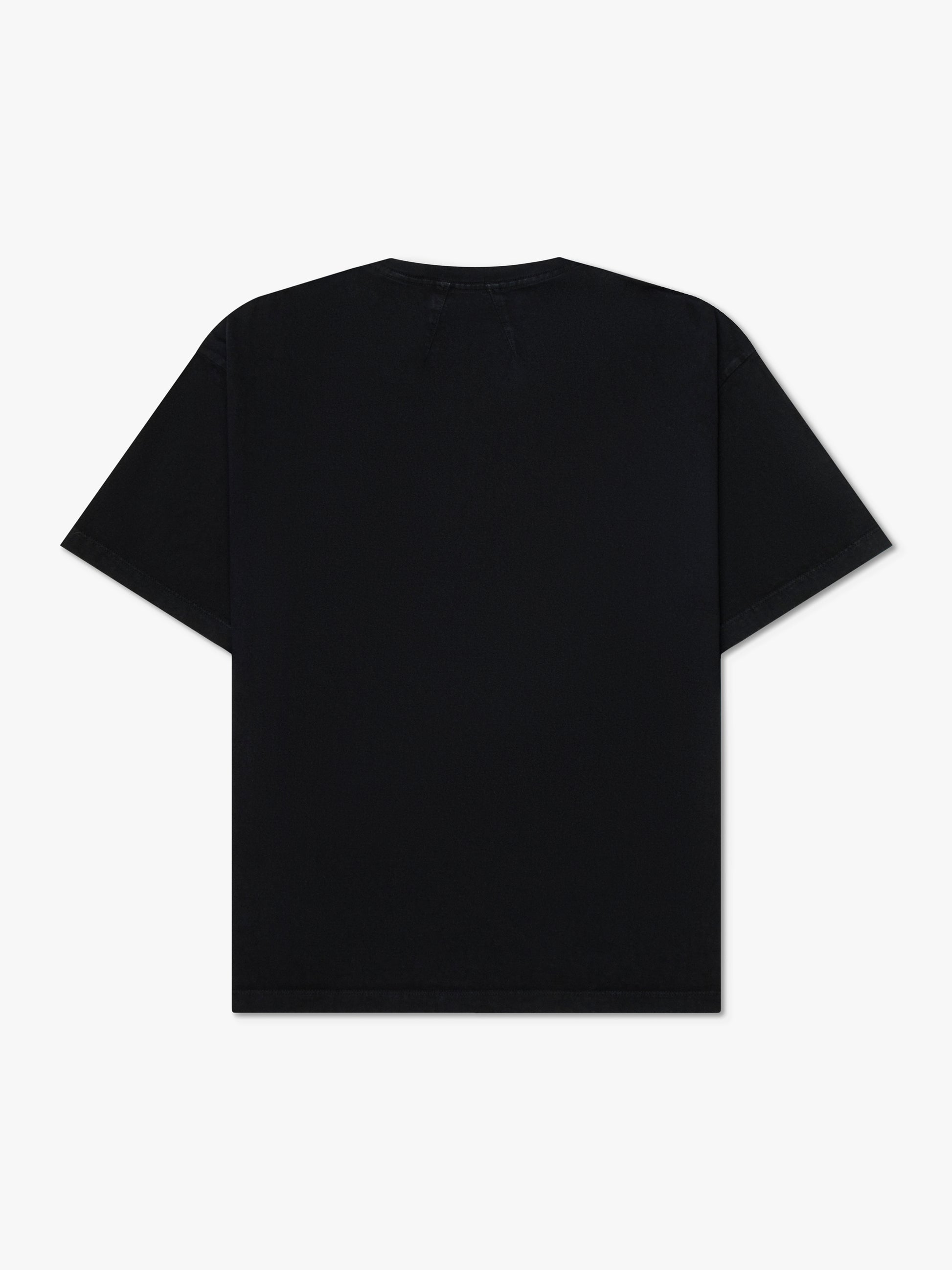 ST. RHUDE UNIVERSITY TEE - VTG BLACK