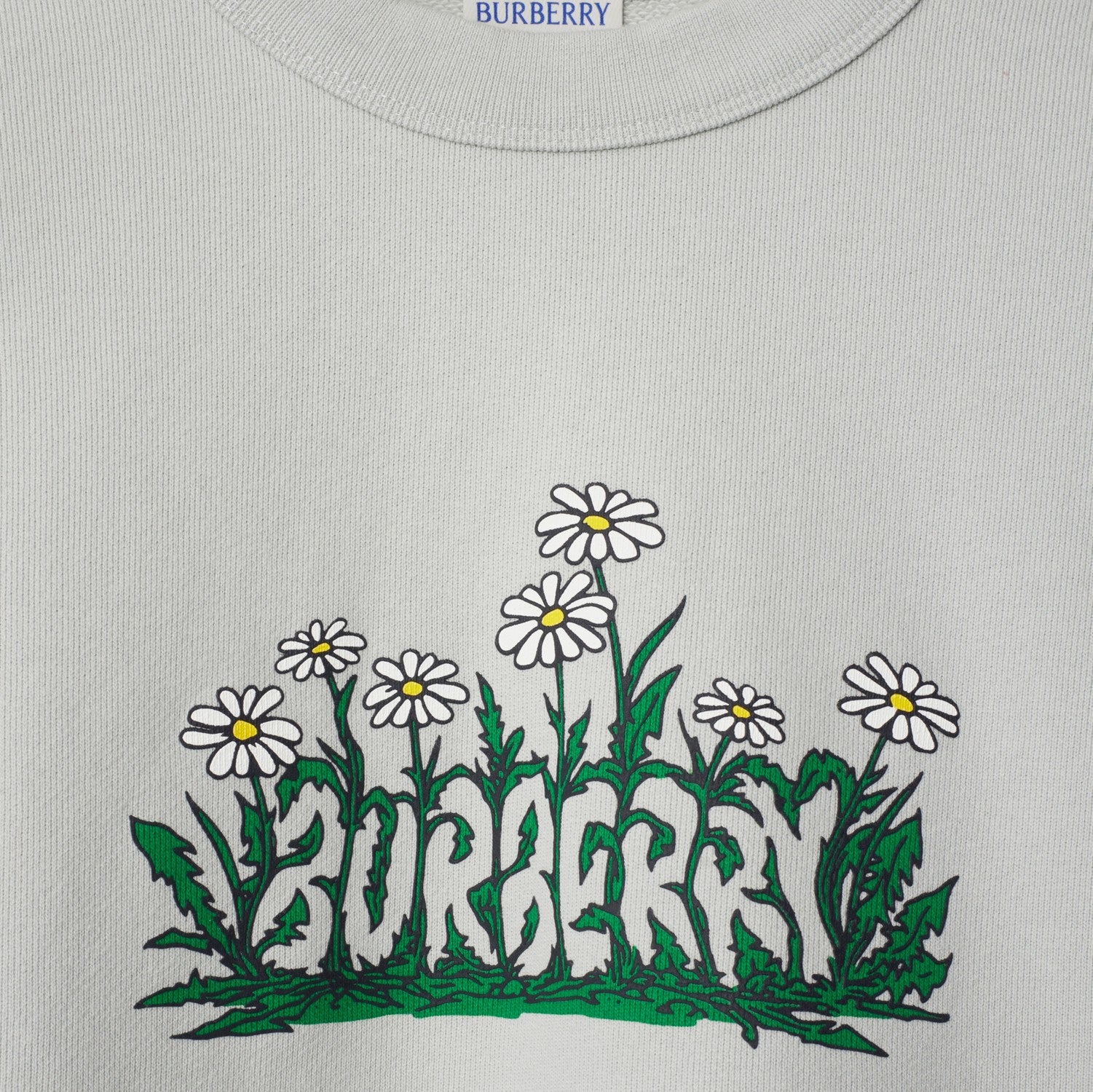 Daisy Logo Cotton Sweatshirt - Winter