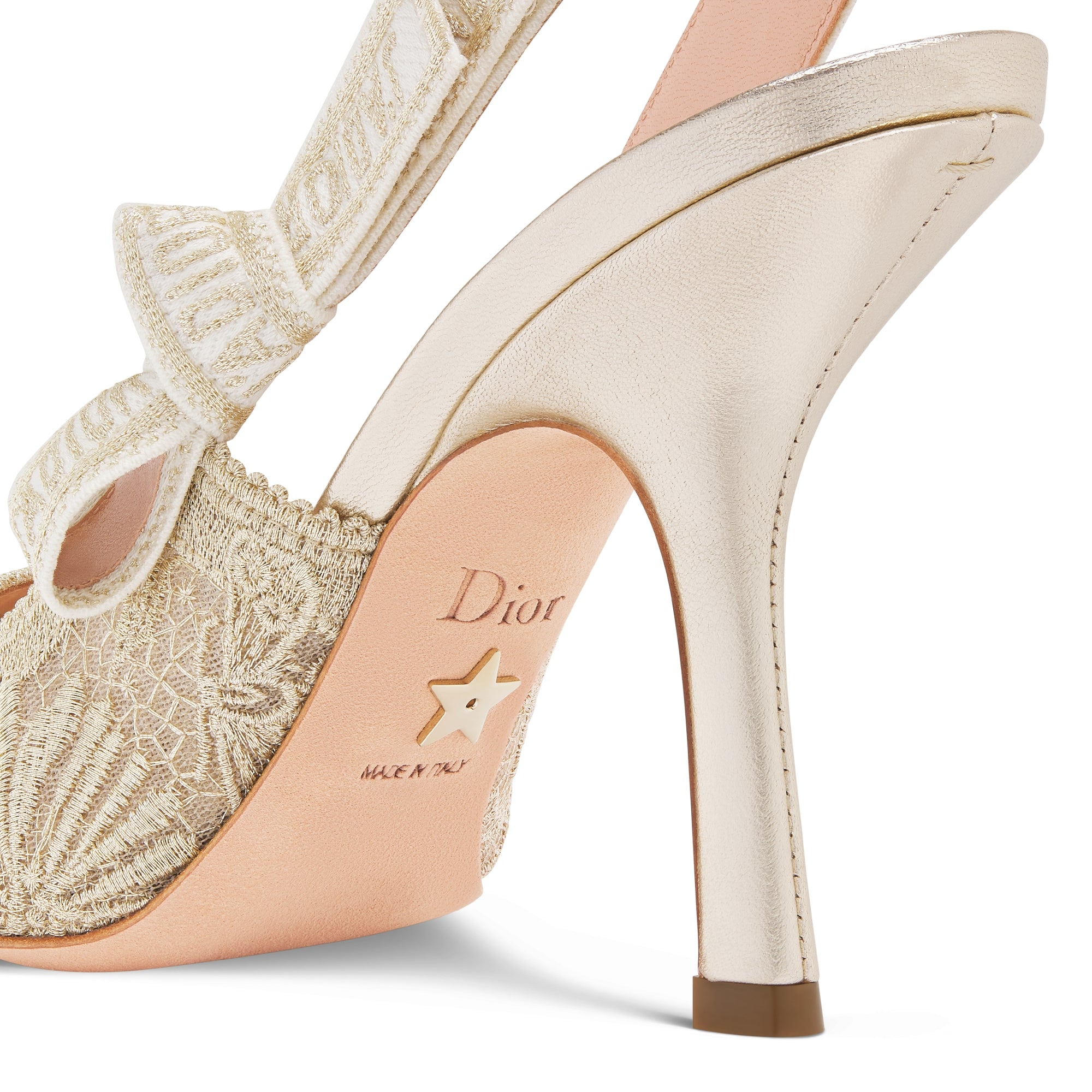 J'Adior Slingback Pump - Transparent Mesh with Dior Chardons Embroidery in Gold-Tone Metallic Thread