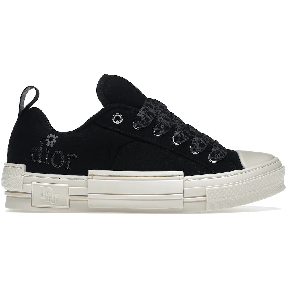 Dior B23 Skater Low Top ERL Black Cotton Canvas